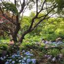 아침봄빵집 이미지