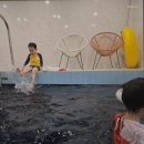 포레스트휴 이미지