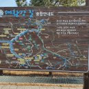 대황강 출렁다리 이미지