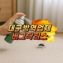 수성다듬이 | 대구방역업체 해충없이 깔끔하게!