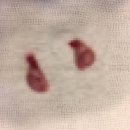 우남동물병원 이미지