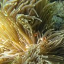 하하하주유소 | 코타키나발루 4박 5일 (1) | 눕코노미 꿀팁·가야호텔·호핑투어/사피섬 대만족 내돈내산·졸리비...