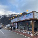 복많이받으세요~~!! 2020년 기념 해돋이 주문진일출(주문진 원조 할매 곰치국 해물, 평창한우마을 면온점)