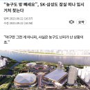 서울시는 2026년 말부터 잠실야구장을 허물고 2031년까지 돔구장을 건설할 계획 이미지