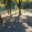 엉클캠프 이미지