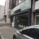[석동물병원] 올림픽공원근처 친절한 동물병원 추천!!