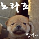 로