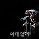 레디컴퍼니 이데일리