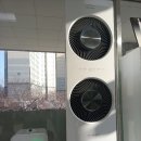 라라태권도 이미지