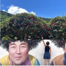 천사섬신안남하부엌 이미지