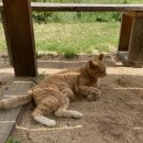 스테이, 흥업 이미지