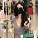 다원 이미지