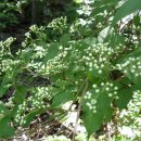 지리산이야기 이미지