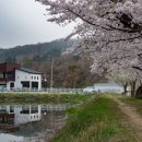 외입석 이미지