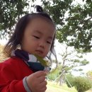 발도르프예쁜어린이집