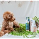 지지농장 이미지