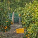 제주푸른병원 | 제주 한 달 살기 숙소 고르기 힘든가요? 실패 없는 지역별 장기 숙소 완벽 비교