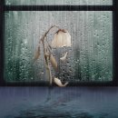 로즈화이트 이미지