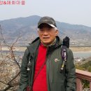 화개농원 이미지