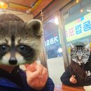 횡성댁 이미지