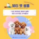 딩펫 펫살롱 보람점 | 수원 애견 미용실 퍼피야놀자 펫 뷰티 쌀롱 오픈