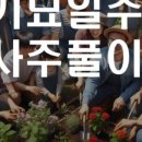 관인공인중개사사무소 이미지