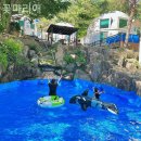 마리애 네이버블로그
