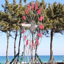 오시기식당 이미지