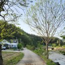 쥬띠하우스 이미지