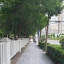 명심손뜨개 | blog photo dump. || 6월 일상 🧸 || 포토덤프 챌린지