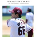 법규 Daum카페