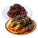웰빙촌