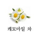 바른정한의원 이미지