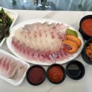 대구 효목&gt; 두툼~하이 지기는 배달회 맛집, 싱싱활어천국 포항물회 후기