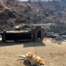 최면식 선생 공적비 네이버블로그