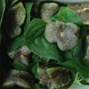 승민슈퍼 이미지