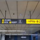 서현종로약국 이미지