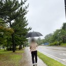 설악코너 | 한화리조트 설악 쏘라노 조식뷔페 후기! 메뉴 종류부터 가격까지 솔직 후기
