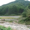 형제사슴목장 이미지