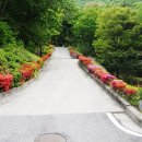 수레의산자연휴양림 이미지