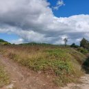 신덕축사 이미지