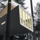 호텔나무 이미지