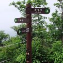 7월1일(일) 경기도 파주 고령산(高靈山 621m) 당일 산행안내문 이미지