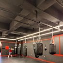 뮤직비트복싱 | 365복싱데이, 매일이 펀치 날리는 천안의 뜨거운 링