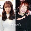니콜 스타뉴스