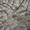 진솔농장 이미지