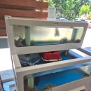 착한낙지안양점 | 안양 맛집 착한낙지에서 매콤한 낙지덮밥 한그릇