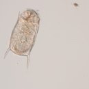 덕우환경 이미지