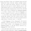 2024 ㄱㅊㅇ 3회 B 이미지