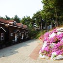 드르니오션리조트 이미지